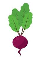 Ripe red beets with green leaves. Card, banner, sticker, poster, print. Vector illustration.