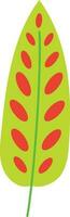 Tropical Leaf Element vector