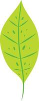 Tropical Leaf Element vector