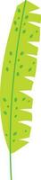 Tropical Leaf Element vector