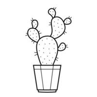 Cactus. Exotic plant with prickles in sketch doodle style. Isolated vector illustration.