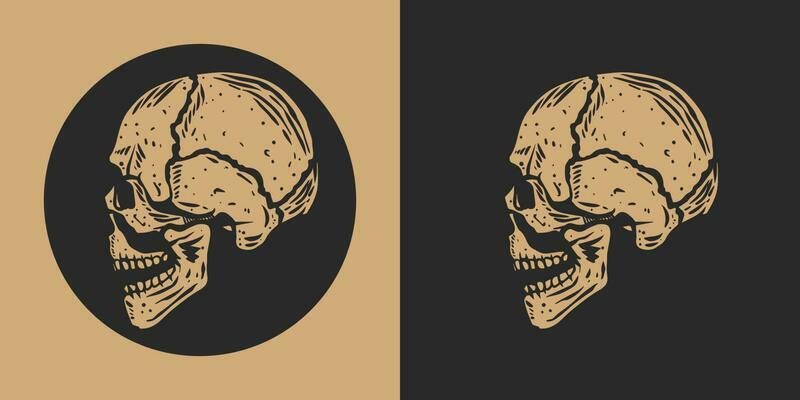 Set of skull illustration with stunning detail. vector skull clip art easy to use. black and white skull logo. Trending Skull Bundles