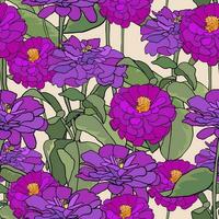 Pattern with common zinnia. Purple elegant zinnia flower on beige background vector
