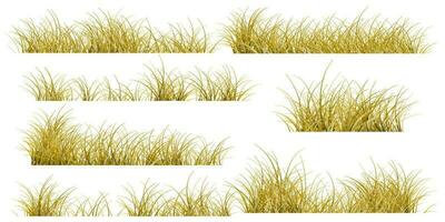 autumn grass set vector