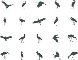 Stork silhouette, Stork vector silhouette, Flying stork silhouette.