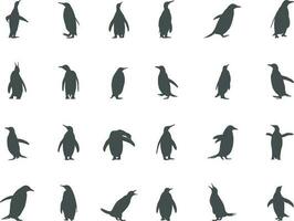 Penguins silhouette, Penguin clipart, Penguin illustration. vector