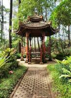 China pabellón en el botánico jardín foto
