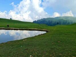 pequeño lago, paga prados naran kpk foto