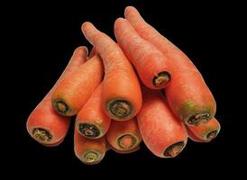 Heap of fresh carrots isolated on black background. photo