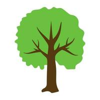 Tree with single leaf structure as one leaf on one stem, this is apple tree icon vector