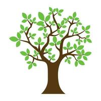 Tree with single leaf structure as one leaf on one stem, this is apple tree icon vector