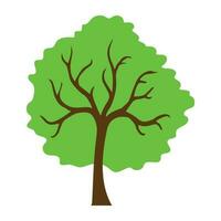 Tree with single leaf structure as one leaf on one stem, this is apple tree icon vector