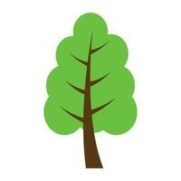 Tree with single leaf structure as one leaf on one stem, this is apple tree icon vector