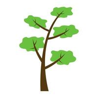 Tree with single leaf structure as one leaf on one stem, this is apple tree icon vector