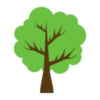 Tree with single leaf structure as one leaf on one stem, this is apple tree icon vector