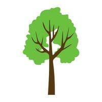 Tree with single leaf structure as one leaf on one stem, this is apple tree icon vector
