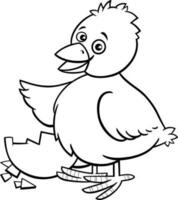 cartoon little chick hatched from egg coloring page vector