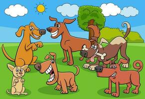 cartoon dogs and puppies characters group in the meadow vector