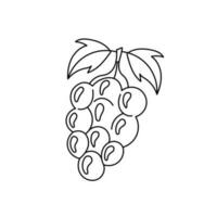 Grape vine with leaf Doodle vector