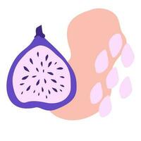Fig. Fresh Fruit Composition. Design for textiles, labels, posters. Vector hand draw illustration isolated on white background.