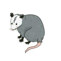 Cute opossum isolated on a white background. Vector graphics.