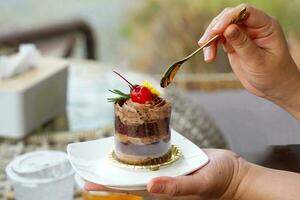 Chocolate chiffon cake with intense flavor, cake formula with cocoa powder, has 3 layers, the middle layer is whipped cream, decorating the cake with whipped cream and cherries, cute, appetizing. photo