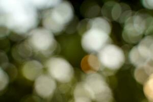 resumen antecedentes bokeh desde verde hojas. concepto bokeh y antecedentes bokeh desde naturaleza, suave y selectivo enfocar. foto