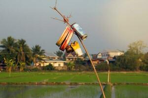 The farmer took old cans and tied them together in a bunch tied with string to make a scarecrow. A farmer pulls a string to cause the cans to clash loudly, driving the birds out of the rice field. photo