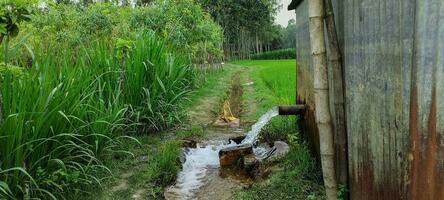 Paddy field last watering device, blue sky green grass village naturals landscape view photo