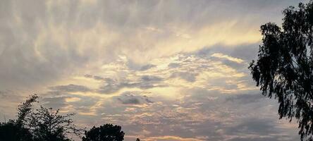 puesta de sol en el cielo, puesta de sol terminado el árbol y nube huracán lluvia Cloudscape foto