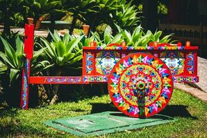 Color pattern cart with plants photo