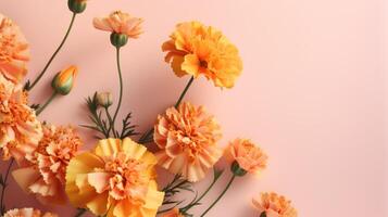 Golden yellow marigolds on a coral pink background with copy space. . photo