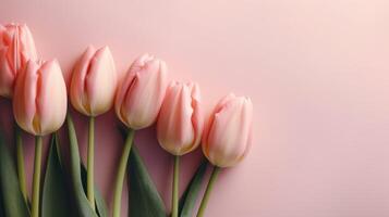Pink tulips arranged in the left corner with a solid pink background and copy space. . photo