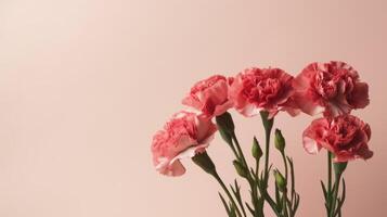 Red carnations and buds on a blush colored background with copy space. . photo