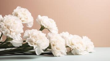 White carnations lying on an apricot colored background with ample copy space. . photo