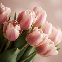 Soft pink beige background with pink tulips arranged in depth. . photo