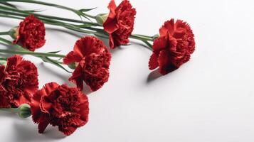 Red carnations arranged diagonally on a white background with copy space. . photo