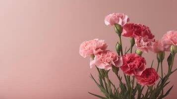 Pink and red carnations on an blush color background with copy space. . photo