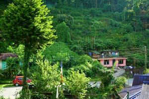 A Beautiful and Greenery Village at Lingtham Sikkim photo