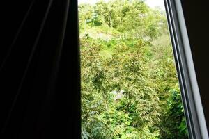 Greenery View from Hotel Window in Mountain of Sikkim photo