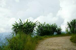 Raw Narrow Road of the Mountain Village Towards Lungchok photo