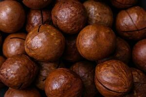 Delicious roasted macadamia nuts in shell on a dark textured background photo