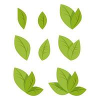 Set of simple green leaves vector