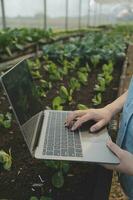 A black female farmer using a tablet smiling friendly at the organic vegetable plots inside the nursery.African woman Taking care of the vegetable plot with happiness in greenhouse using technology. photo