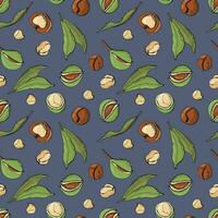 Seamless pattern with macadamia nuts. Design for fabric, textile, wallpaper, packaging. vector