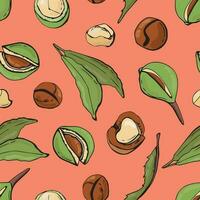 Seamless pattern with macadamia nuts. Design for fabric, textile, wallpaper, packaging. vector