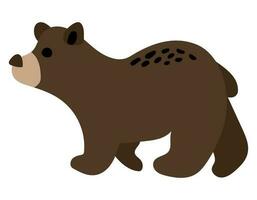 Forest brown bear. White background, isolate. vector