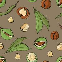 Seamless pattern with macadamia nuts. Design for fabric, textile, wallpaper, packaging. vector