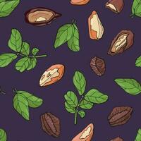 Seamless pattern with brazil nuts. Design for fabric, textile, wallpaper, packaging. vector