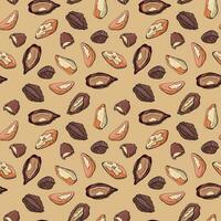 Seamless pattern with brazil nuts. Design for fabric, textile, wallpaper, packaging. vector